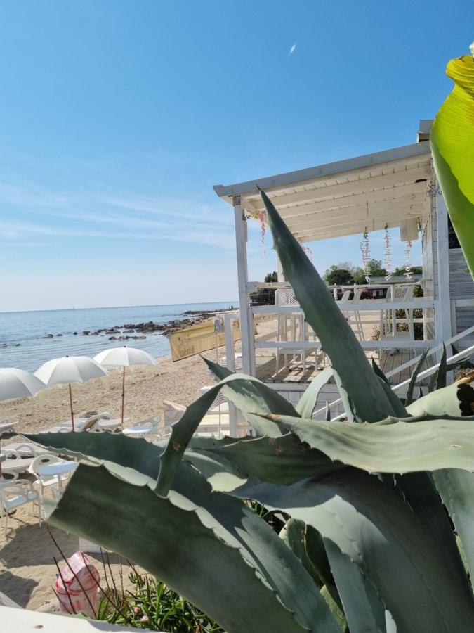 Sea View App Mirta Leilighet Umag Eksteriør bilde